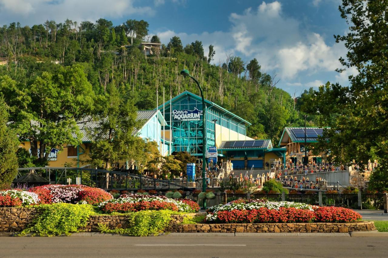 Bluebearry Patch Villa Gatlinburg Exterior photo